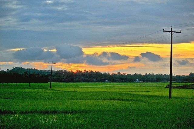 field, landscape, sky, rural scene, tranquil scene, agriculture, tranquility, scenics, beauty in nature, sunset, electricity pylon, farm, power line, nature, grass, tree, cloud - sky, fuel and power generation, growth, cultivated land