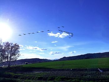 Scenic view of landscape against sky