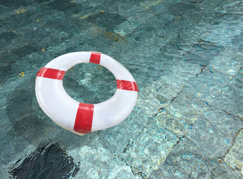 High angle view of red floating with reflex on water pool