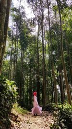 Woman amidst trees in forest