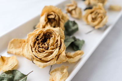 High angle view of roses in plate on table