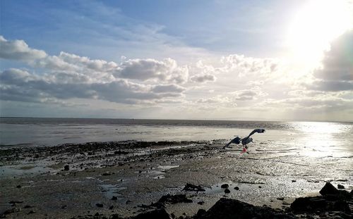 Scenic view of sea against sky