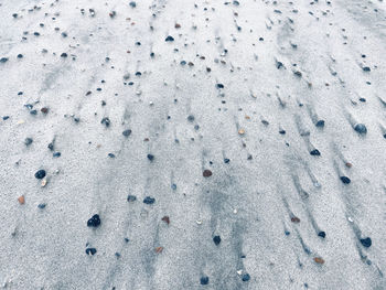 Full frame shot of snow on land