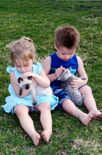 Kids petting and loving small kittens