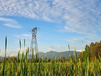 Plants growing and a power transmission tower on field against sky