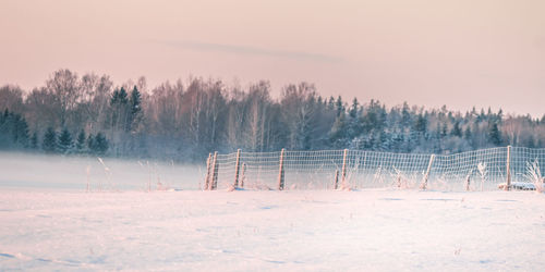 Beautiful winter morning landscape of northern europe rural area.