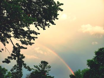 Low angle view of rainbow over trees against sky