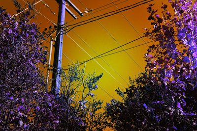 Low angle view of flower trees against sky