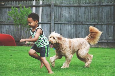 Cute boy playing with dog