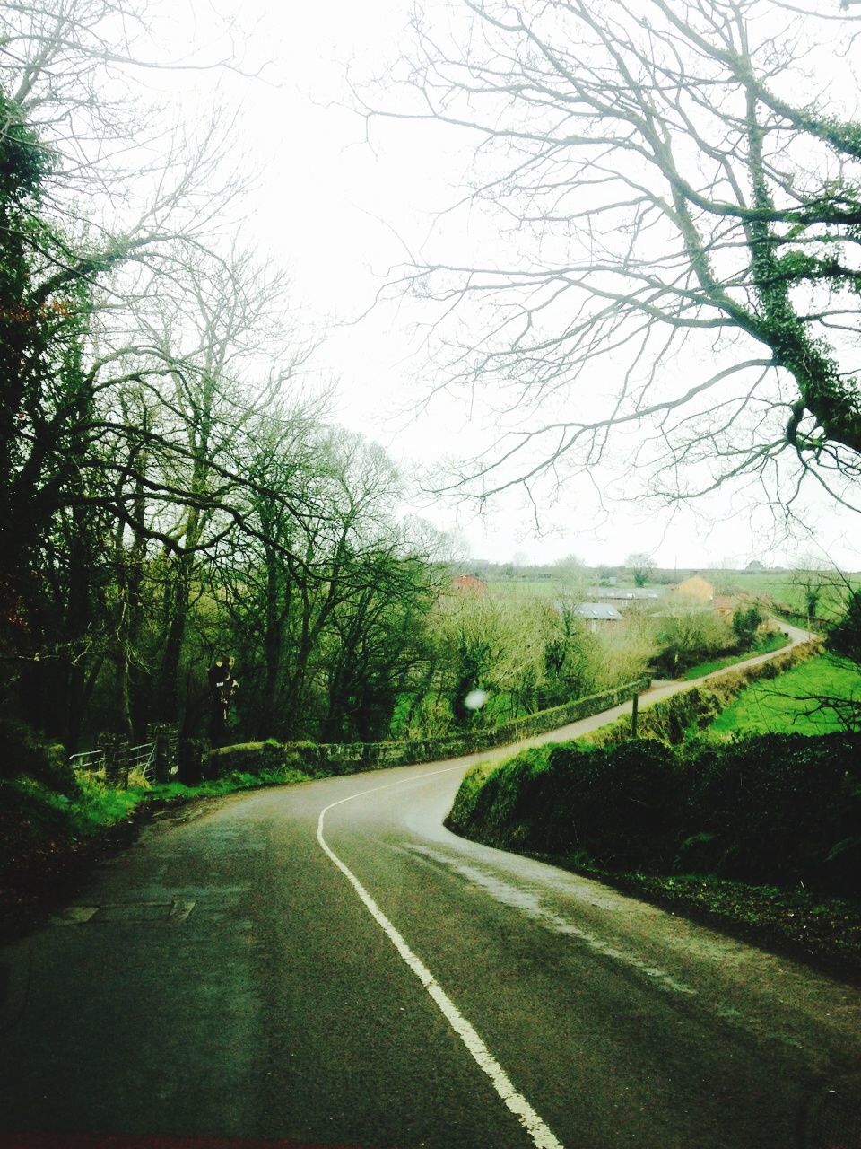 the way forward, road, tree, transportation, country road, diminishing perspective, vanishing point, road marking, tranquility, grass, bare tree, empty road, tranquil scene, landscape, nature, sky, street, clear sky, empty, scenics