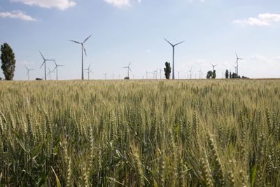renewable energy