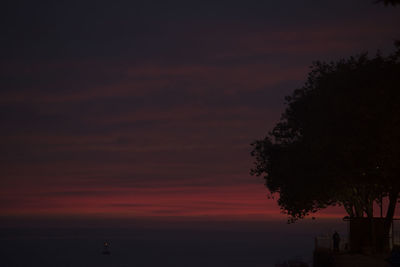 Silhouette tree against sky during sunset