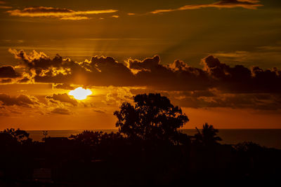 Silhouette trees against dramatic sky during sunset