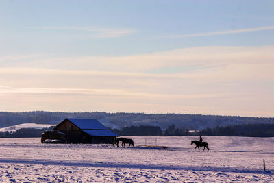 Scenic view of field against sky during winter