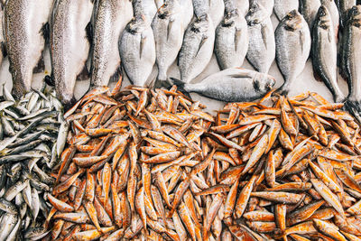 High angle view of fish for sale at market stall