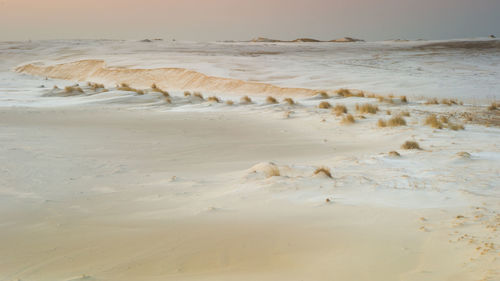 Scenic view of beach