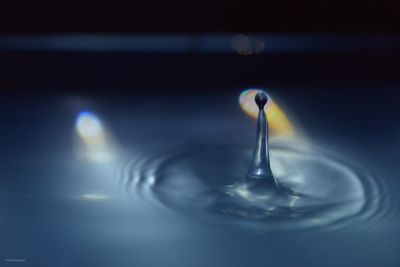 Close-up of water drop on surface