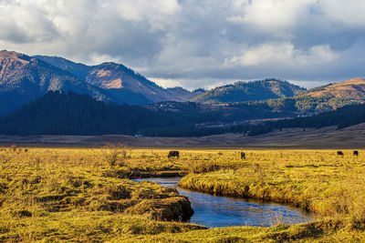 Scenic view of lake and mountains against sky