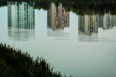 Reflection of trees and buildings in lake