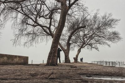 Bare tree on sand against sky