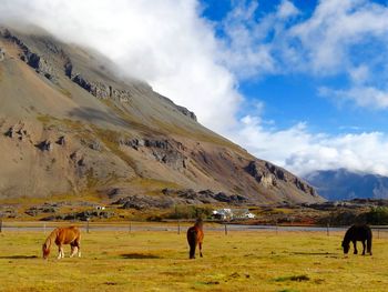 Scenic view of grassy field against cloudy sky