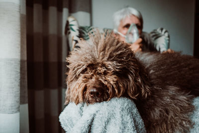 Portrait of woman with dog at home