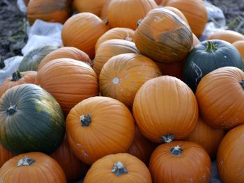 Full frame shot of pumpkins for sale at market