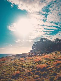 Scenic view of field against sky