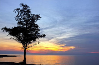 Silhouette tree by sea against sky during sunset