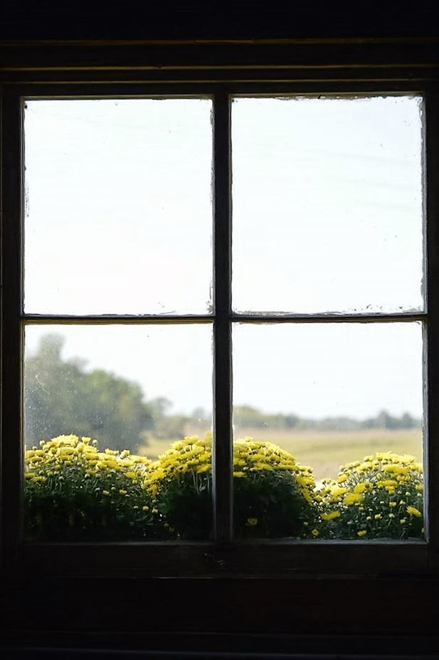 CLOSE-UP OF GLASS WINDOW AGAINST SKY