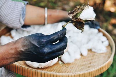 Cropped hand of man holding cotton outdoors