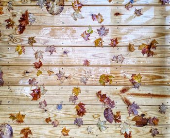 High angle view of multi colored candies on wooden table