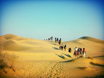 People riding camel in desert against clear blue sky