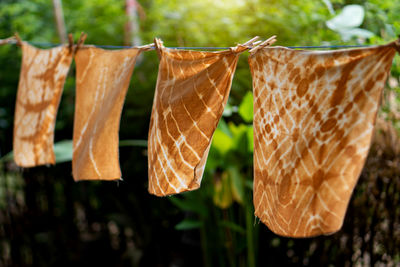 Close-up of clothes drying on clothesline