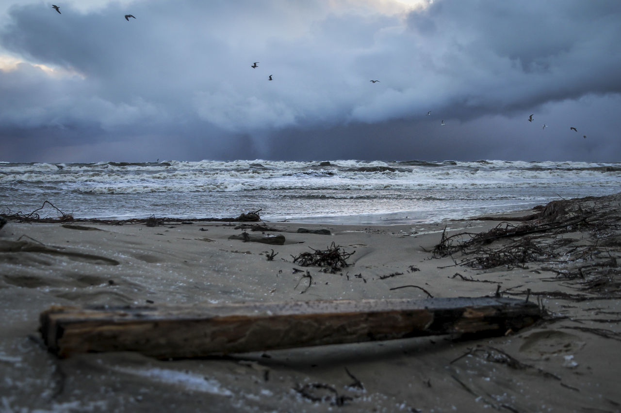 SCENIC VIEW OF SEA SHORE AGAINST SKY