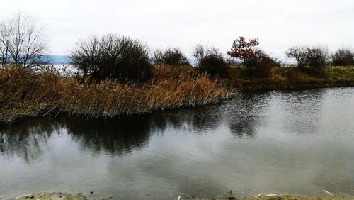 Reflection of trees in lake against sky