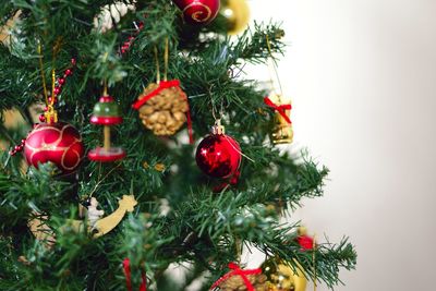 Close-up of christmas tree