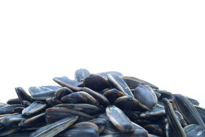 Close-up of roasted coffee beans against clear sky