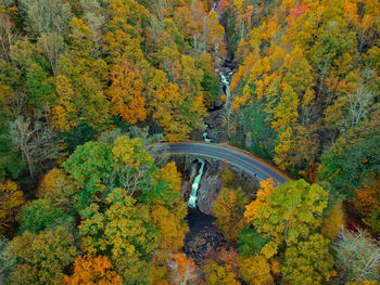 Aerial drone view of overhead colorful fall / autumn leaf foliage near asheville, north carolina.
