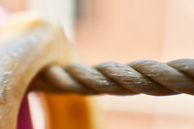 Close-up of man with rope