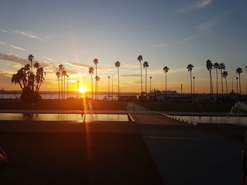 Silhouette palm trees against sky during sunset