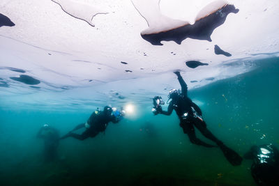 High angle view of man swimming in sea