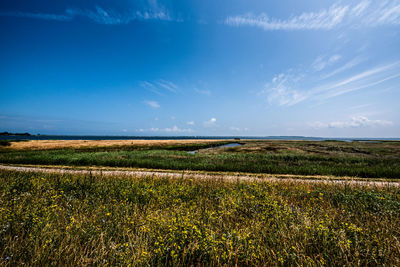 Scenic view of field against blue sky