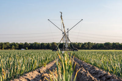 Agricultural field against sky