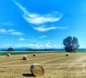 Hay bales on field against sky