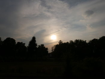 Silhouette of trees at sunset