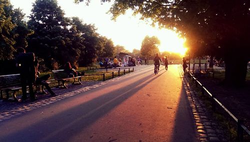 Road at sunset