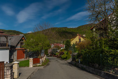 Street amidst trees and buildings against sky