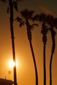 Low angle view of silhouette trees against sky during sunset