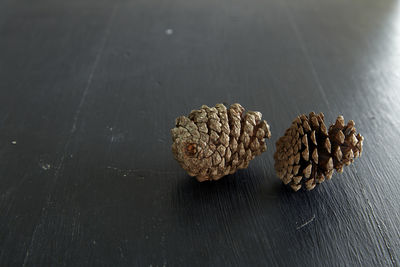 High angle view of pine cones on table